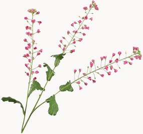 Rastlinné dekorácie Primula, 2 ks
