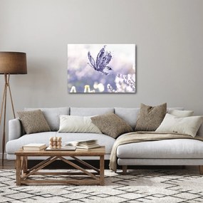 Obraz - Motýľ a levanduľa (70x50 cm)