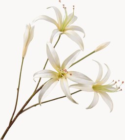 Rastlinné dekorácie Lily, 2 ks