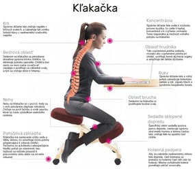 Ergonomická kľakačka na kolieskach Rufus - ružová / čierna