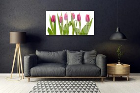 Skleneny obraz Tulipány kvety rastlina 100x50 cm