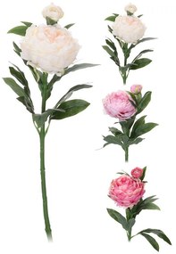 Pivonka 2 kvety 60 cm 3ASS