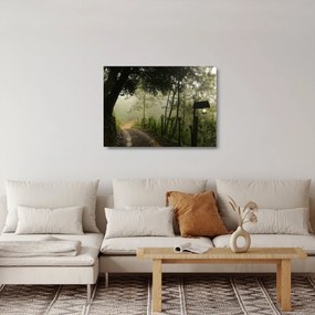 Sklenený obraz rannej hmly (70x50 cm)