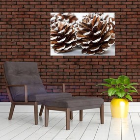 Obraz - Šišky (90x60 cm)