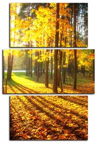 Obraz na plátne - Jesenný les - obdĺžnik 7176C (90x60 cm)