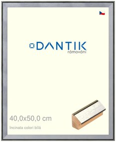 DANTIK rám na obraz 40x50 | INCLINATA colori Bílá (Sklo Čiré)