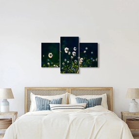 Obraz - Tráva (90x60 cm)