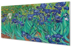 Sklenený obklad do kuchyne Umenie kvety dúhovky 100x50 cm