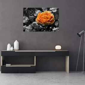 Obraz kvetu (90x60 cm)