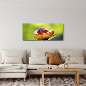 Obraz gaštanov (120x50 cm)