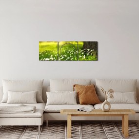 Obraz paseky a kvetín (s hodinami) (90x30 cm)