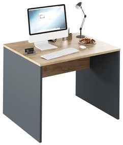 Písací stôl Rioma New Typ 12 - grafit / dub artisan