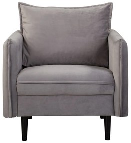 Sivé zamatové kreslo Juli – Ropez