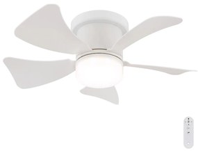 Globo 03609W