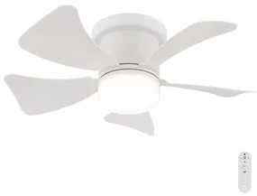 Globo 03609W