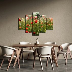 Obraz vlčích makov (150x105 cm)