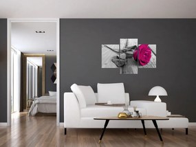 Obraz - Ružová ruža (90x60 cm)