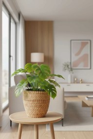 Interiérový kvetináč MASTELLO, ratan, 24x24 cm, natur