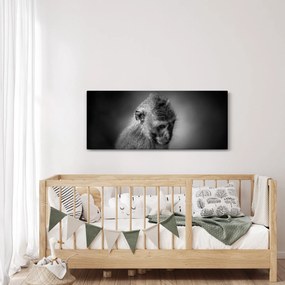 Obraz - Opička (120x50 cm)