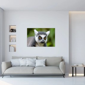 Obraz lemura (90x60 cm)