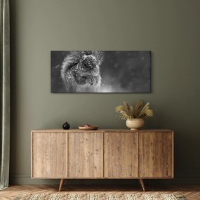 Obraz - Veverička v zime (120x50 cm)