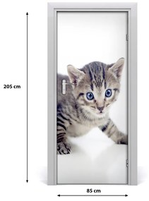 Samolepiace fototapety na dvere malá mačka 85x205 cm