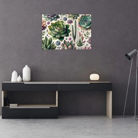 Obraz - Sukulenty (70x50 cm)