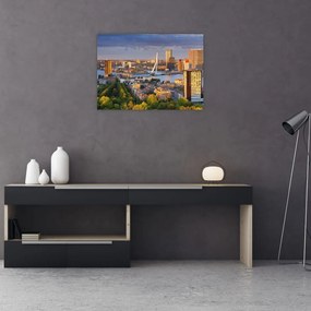 Sklenený obraz - Panorama Rotterdamu, Holandsko (70x50 cm)