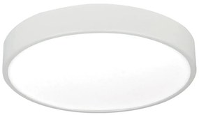 LED Stropné svietidlo LED/12W/230V
