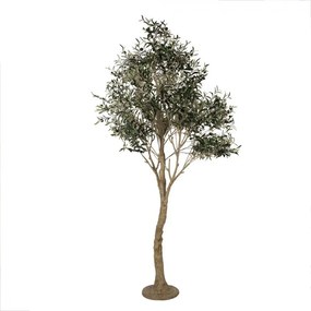 Dekoračný stromček olivovník s olivami Olea Tree - 140*130*250 cm