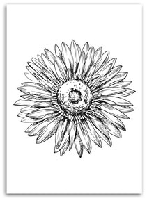 Obraz na plátně Květinová skica černá a bílá - 60x90 cm