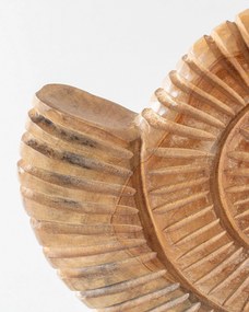 Dekoracja Fossil