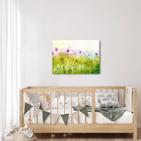 Obraz - Lúčne kvety (70x50 cm)