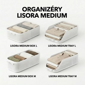 Rotho Úložný box do skrine, šatníkový organizér LISORA - L, 49,4 × 31 × 15 cm