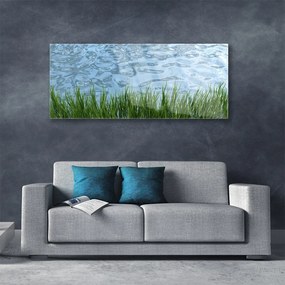 Obraz plexi Tráva voda príroda 125x50 cm