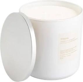 Sviečka AURA Jasmín&Bergamot 740190