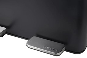 Matne čierny oceľový odpadkový kôš 2x20 l na triedený odpad/nášľapný Aliya – Spirella