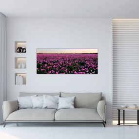 Obraz - Lúka fialových tulipánov (120x50 cm)