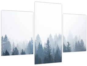 Obraz - Zahmlený les (90x60 cm)