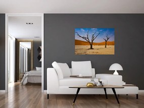 Obraz - Údolie smrti (90x60 cm)