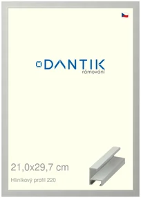 DANTIK rám na obraz 21x29,7 | ALU Stříbrná matná (Sklo Čiré)
