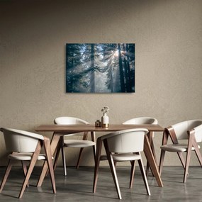 Sklenený obraz stromov s presvitajúcim slnkom (70x50 cm)