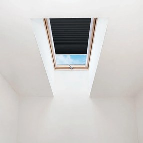 FOA Plisé roleta na strešné okná, Priesvitná, Čierná, P 012 , 40 x 90 cm