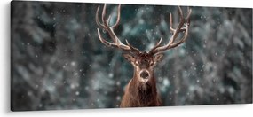 Obraz - Majestátnosť jeleňa (120x50 cm)