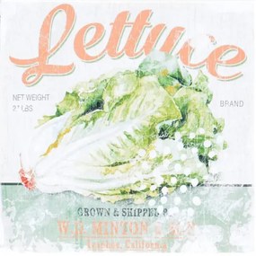 Obraz tlačený na plátne 40x40 PRC961