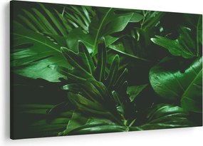 Obraz - Palmové listy (90x60 cm)