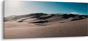 Obraz - Z púšte (120x50 cm)