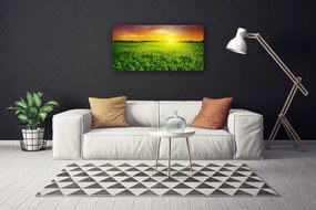 Obraz na plátne Obilie pole východ slnka 100x50 cm