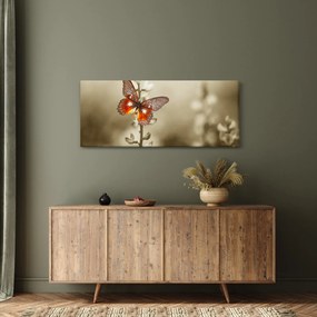 Obraz motýľa (120x50 cm)