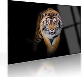 Sklenený obraz - Tiger (70x50 cm)
